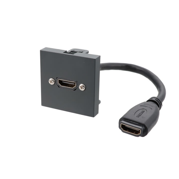 Erard - Plastron 2 modules - HDMI - 4K/60ips - - 0m20 - anthracite