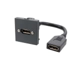 Erard - Plastron  2 modules - DP 1.2 -  4K/60ips -- 0m20 - anthracite