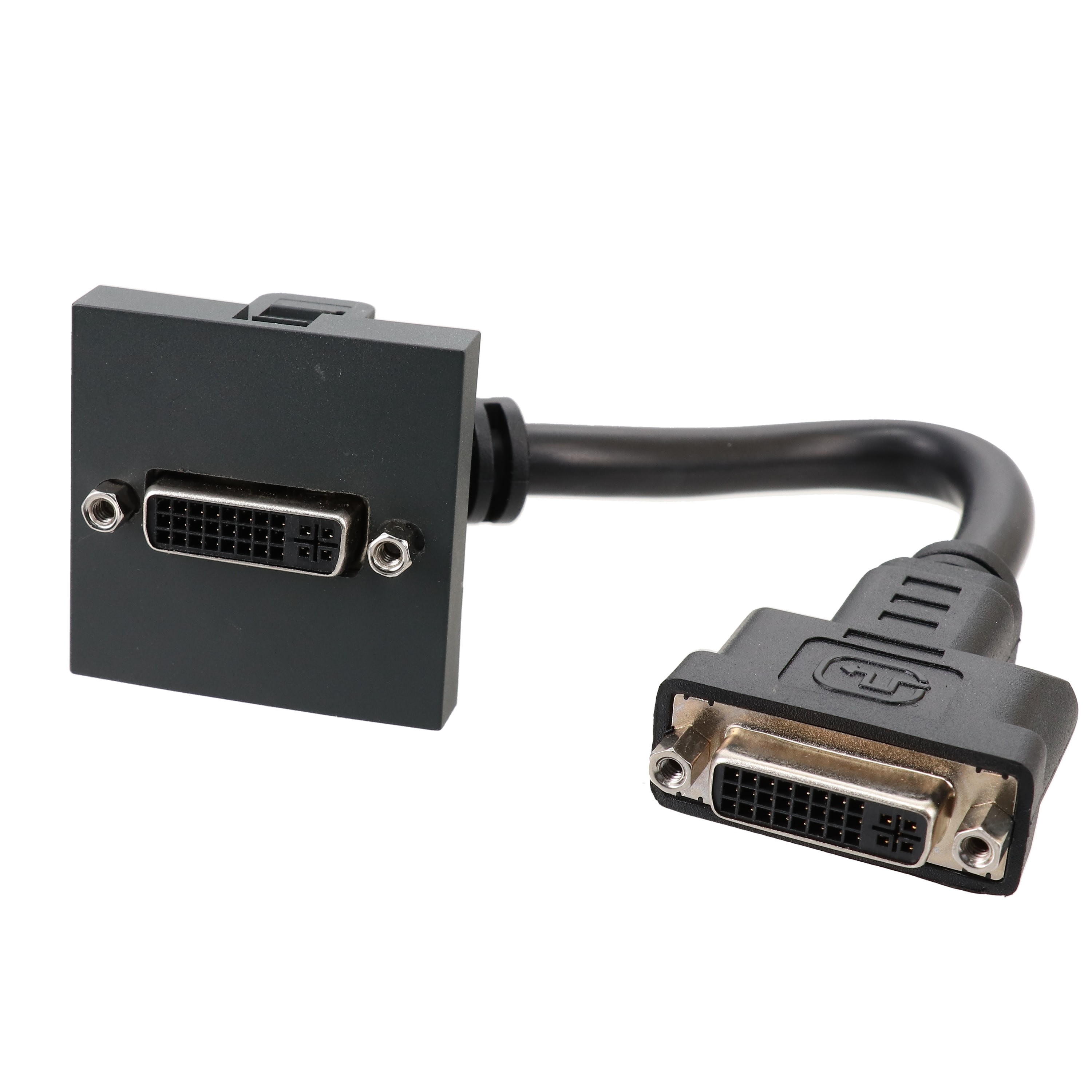 Erard - Plastron 2 modules DVI I F/F - 45x45 mm - 0m20 - anthracite