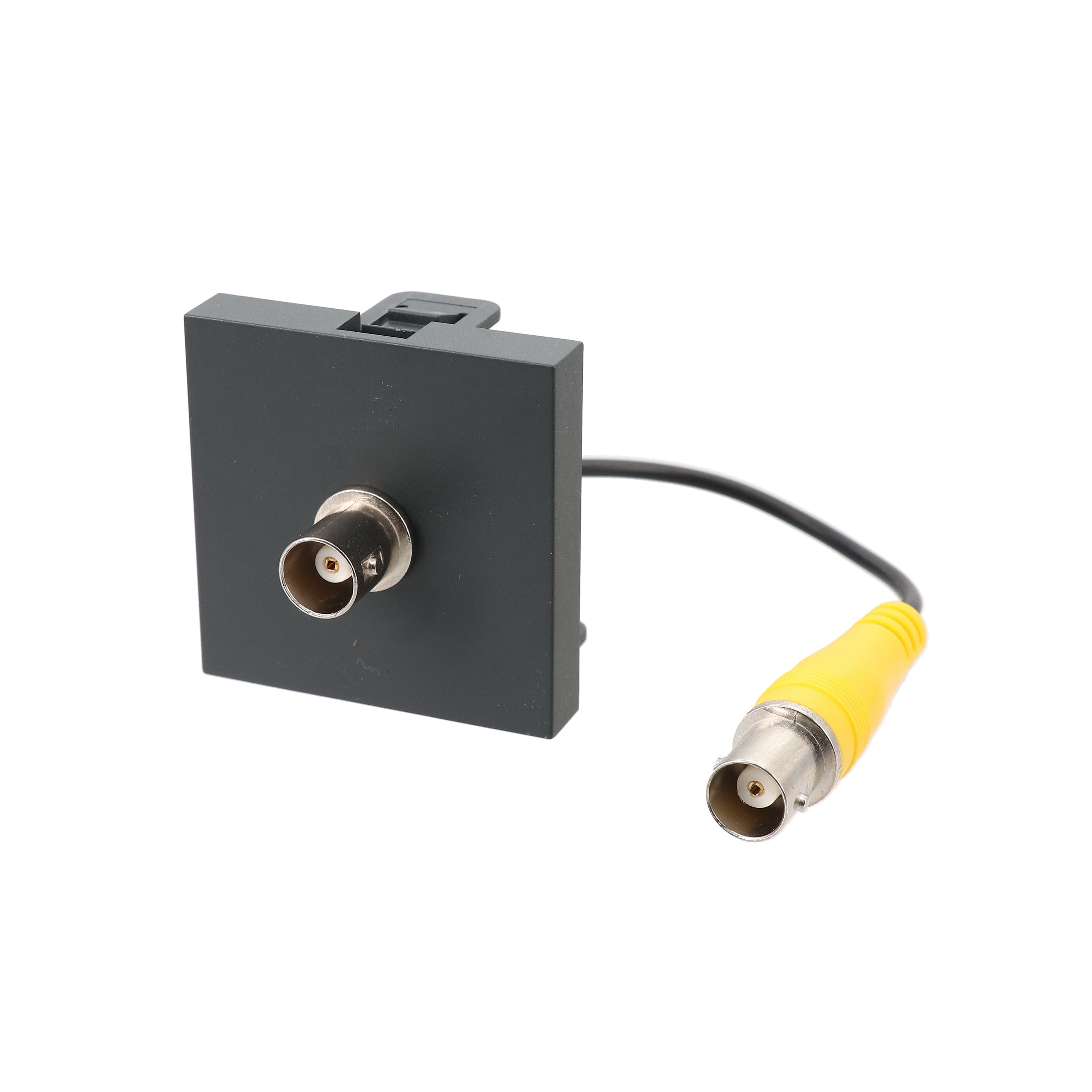 Erard - Plastron 2 modules BNC + raccord F - 45x45 mm - 0m20 - anthracite