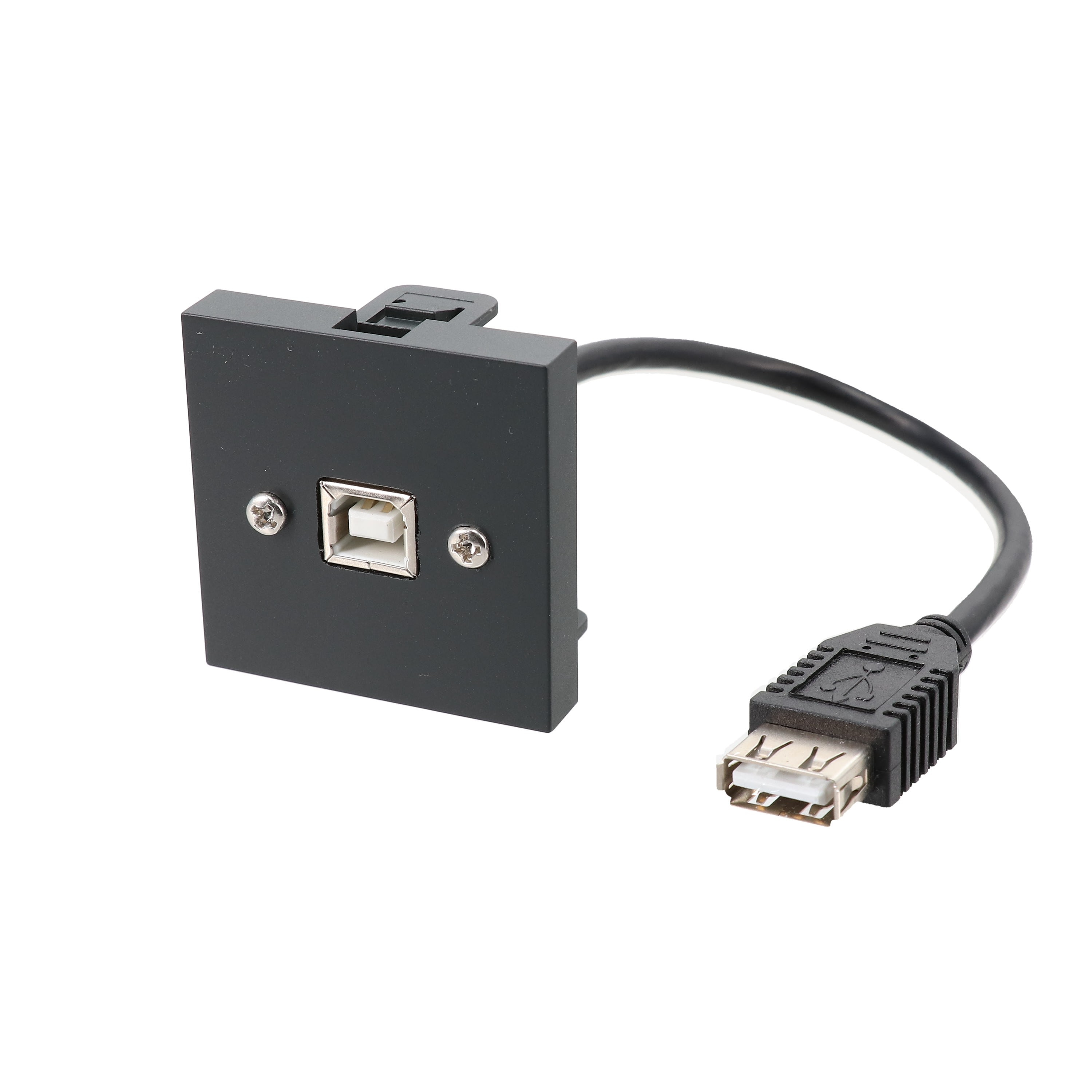 Erard - Plastron 2 modules - USB-B/USB A F/F - - 0m20m- anthracite