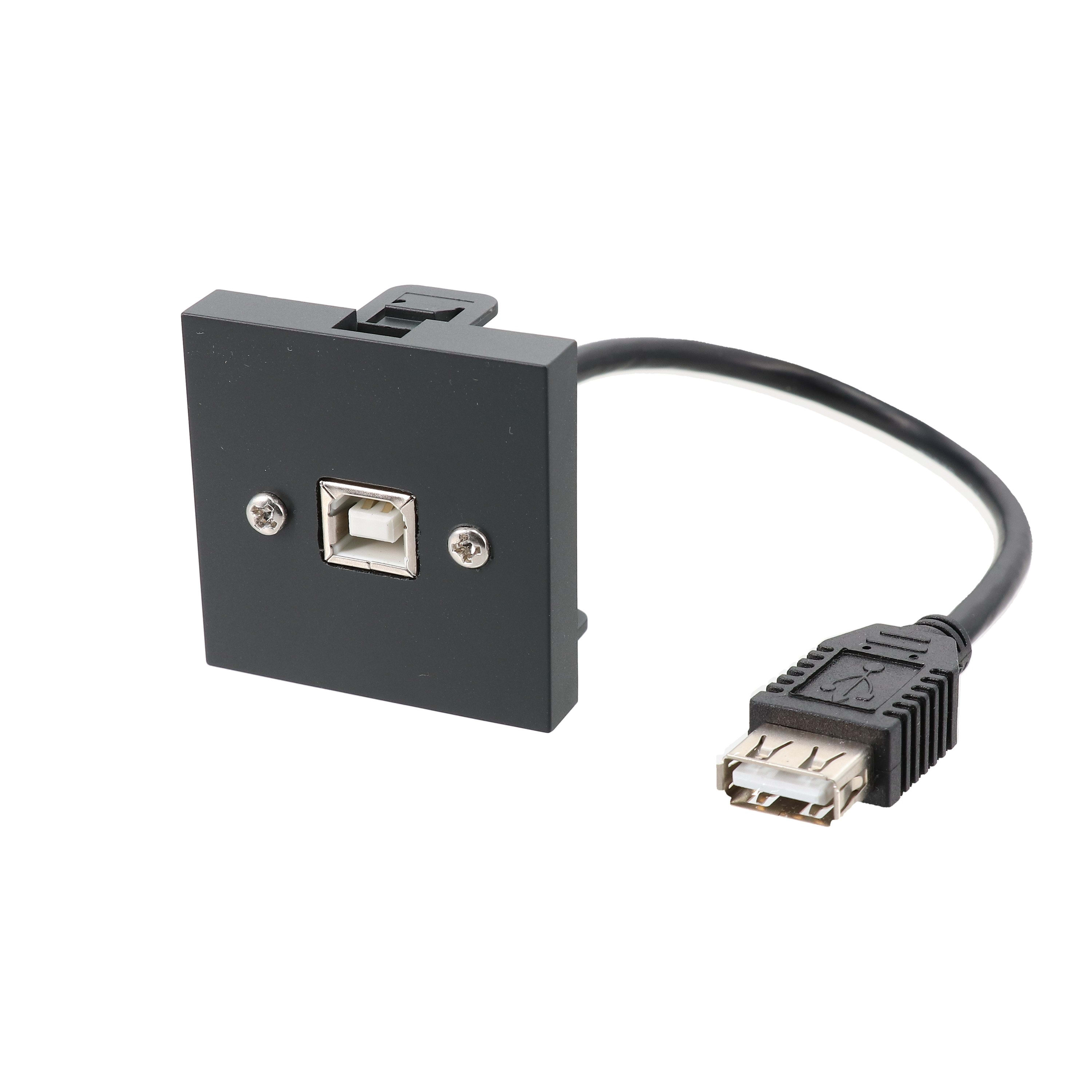 Erard - Plastron câblé 2 modules - USB B/ USB A - 45x45mm- 0m20 - anthracite