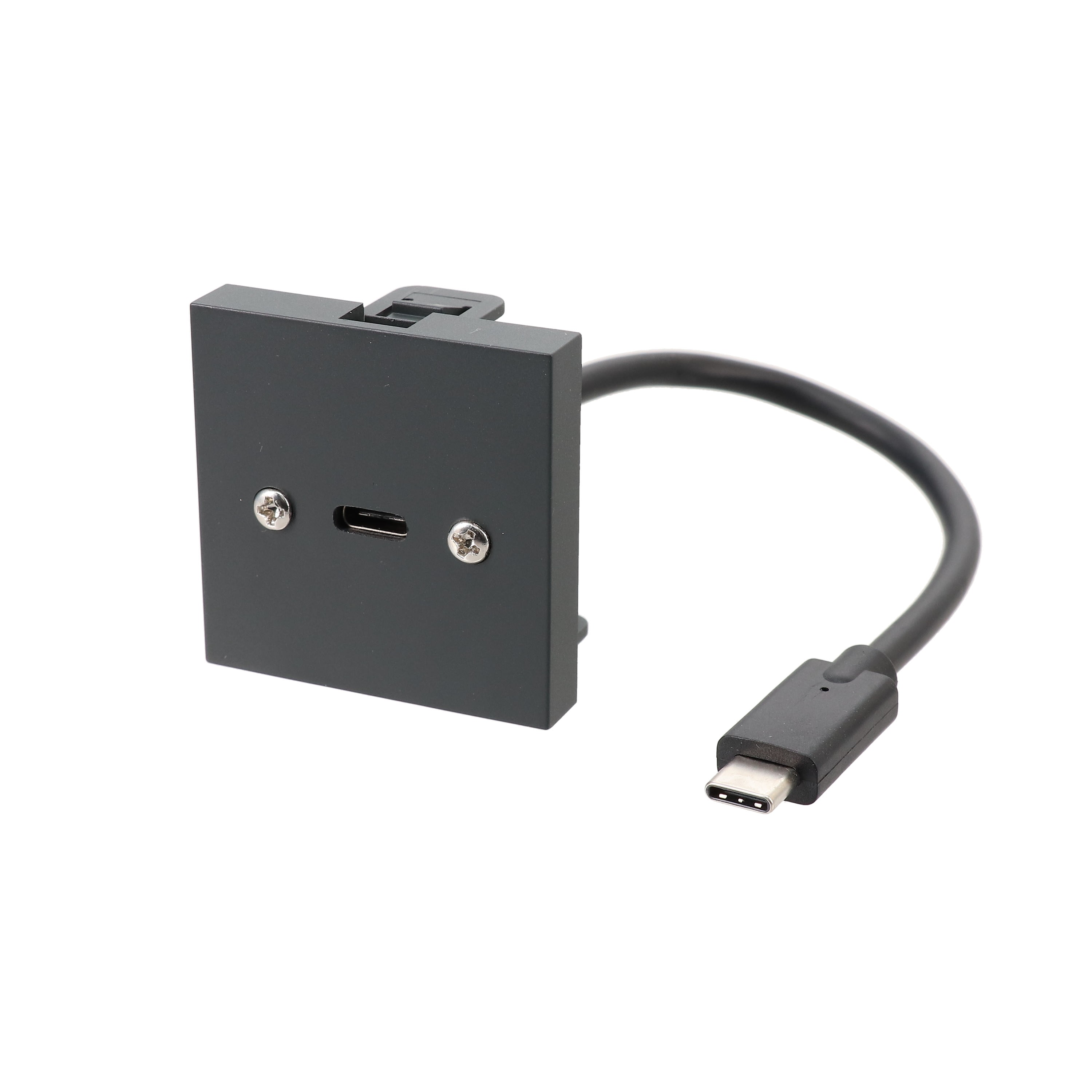 Erard - Plastron 2 modules - USB-C 3.2 GEN 1 + raccord M - - 0m20 - anthracite