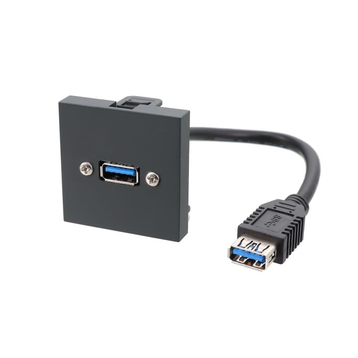 Erard - Plastron  2 modules - USB-A 3.2 GEN 1 + raccord F -   - 0m20 - anthracite