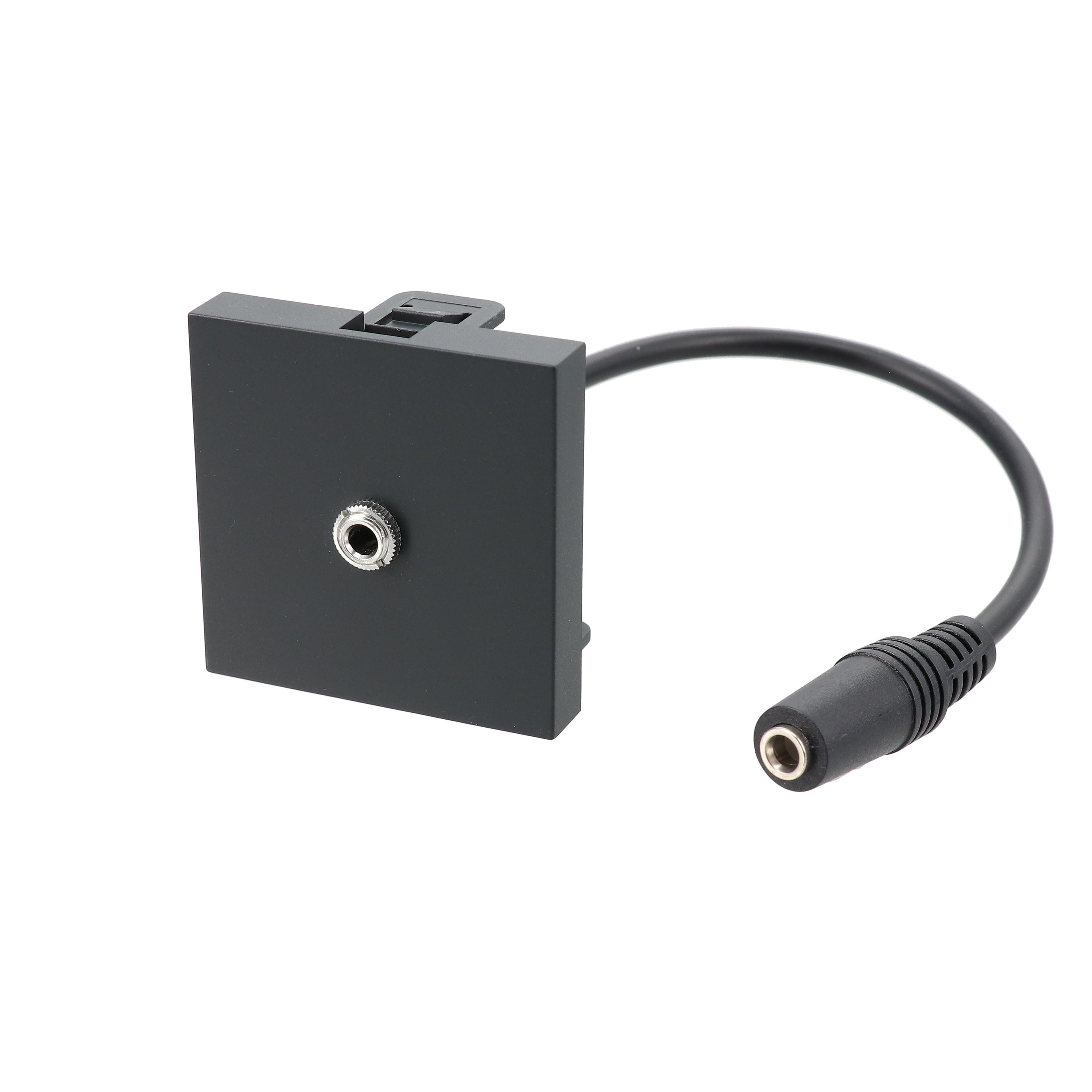 Erard - Plastron 2 modules Jack 3,5m stéreo + raccord F - 45x45 mm - 0m20 - anthracite