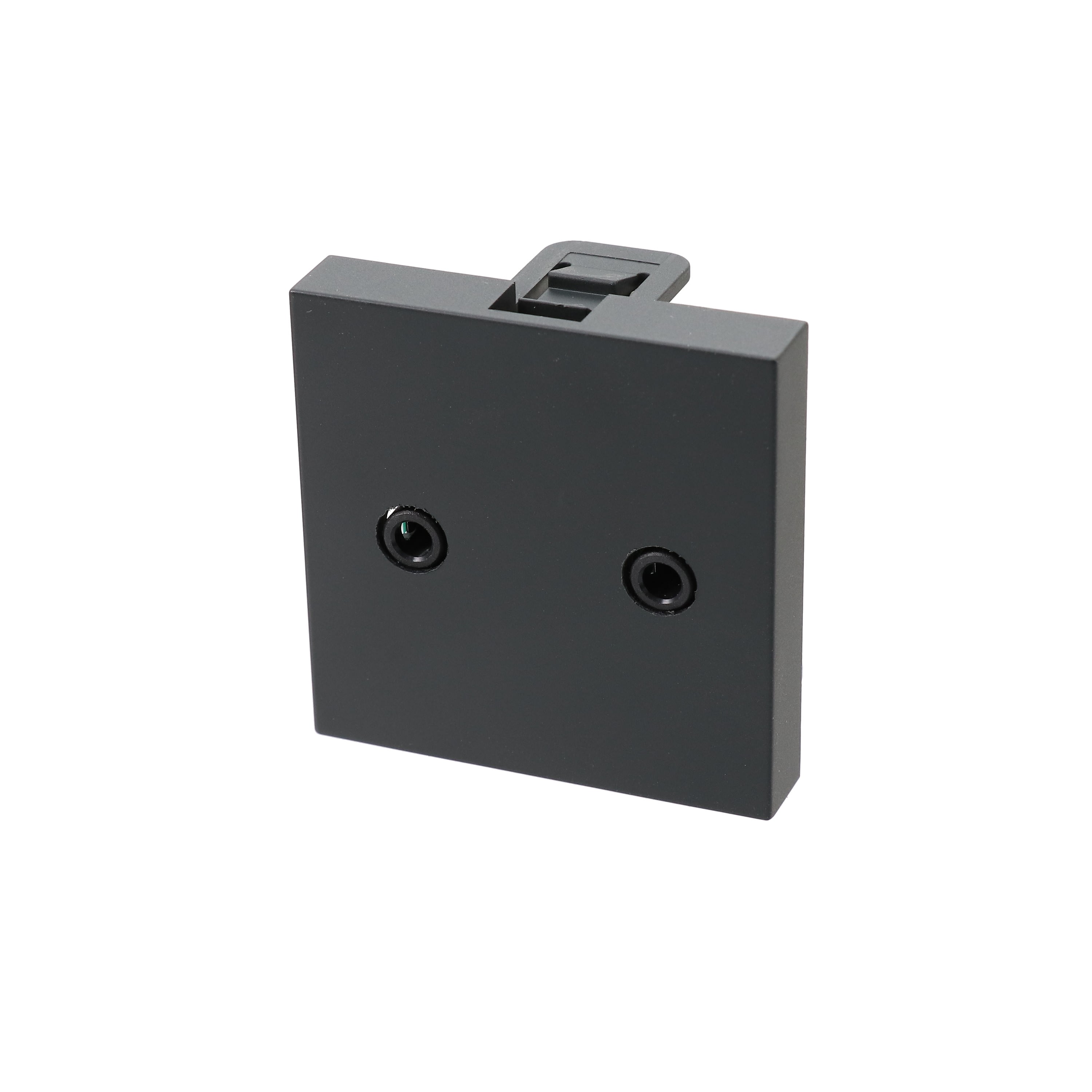 Erard - Plastron avec 2 jack stéréo F - bornier à vis 3 points - 45x45 mm - anthracite