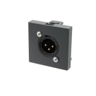 Erard - Plastron avec embase NEUTRIK XLR M 3 broches à souder - 45x45 mm - - anthracite