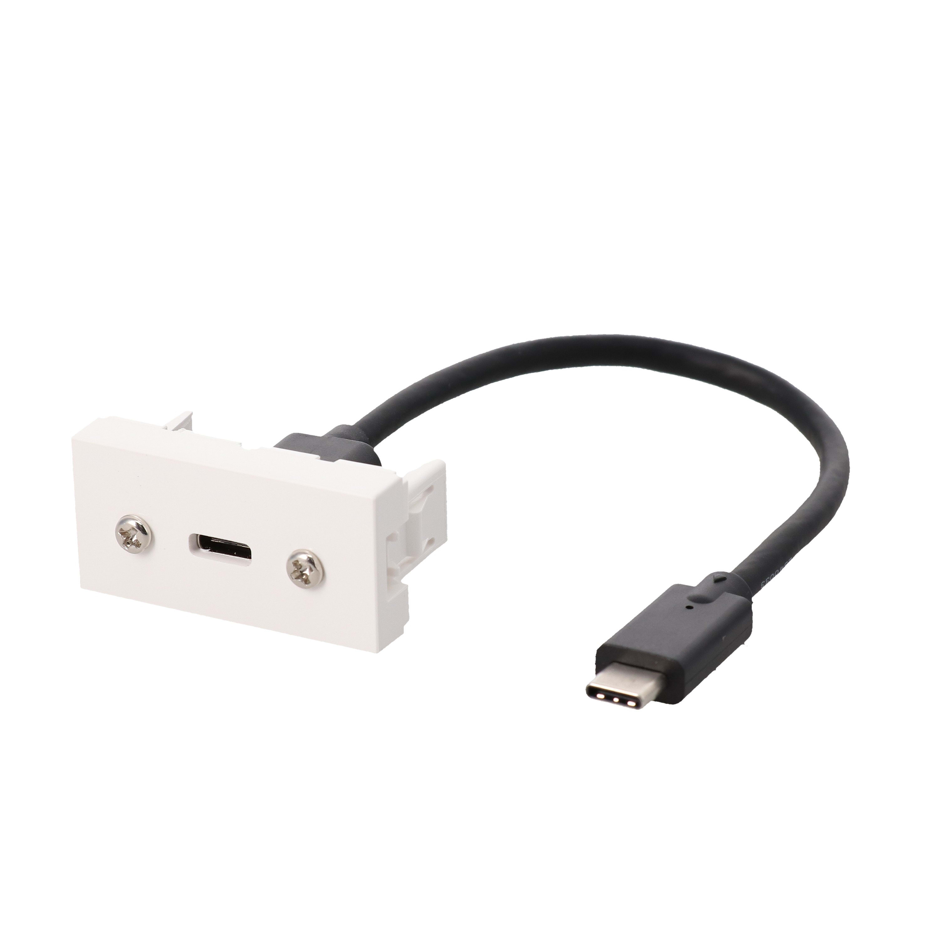 Erard - Plastron câblé 1 module USB C 3.2 GEN2 - F/M 0m20 - blanc