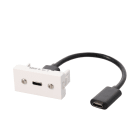 Erard - Plastron câblé 1 module USB C 3.2 GEN2 - F/F 0m20 - blanc