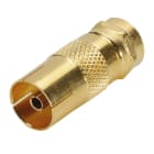 Erard - Adaptateur F mâle / TV 9.52 mm femelle - OR