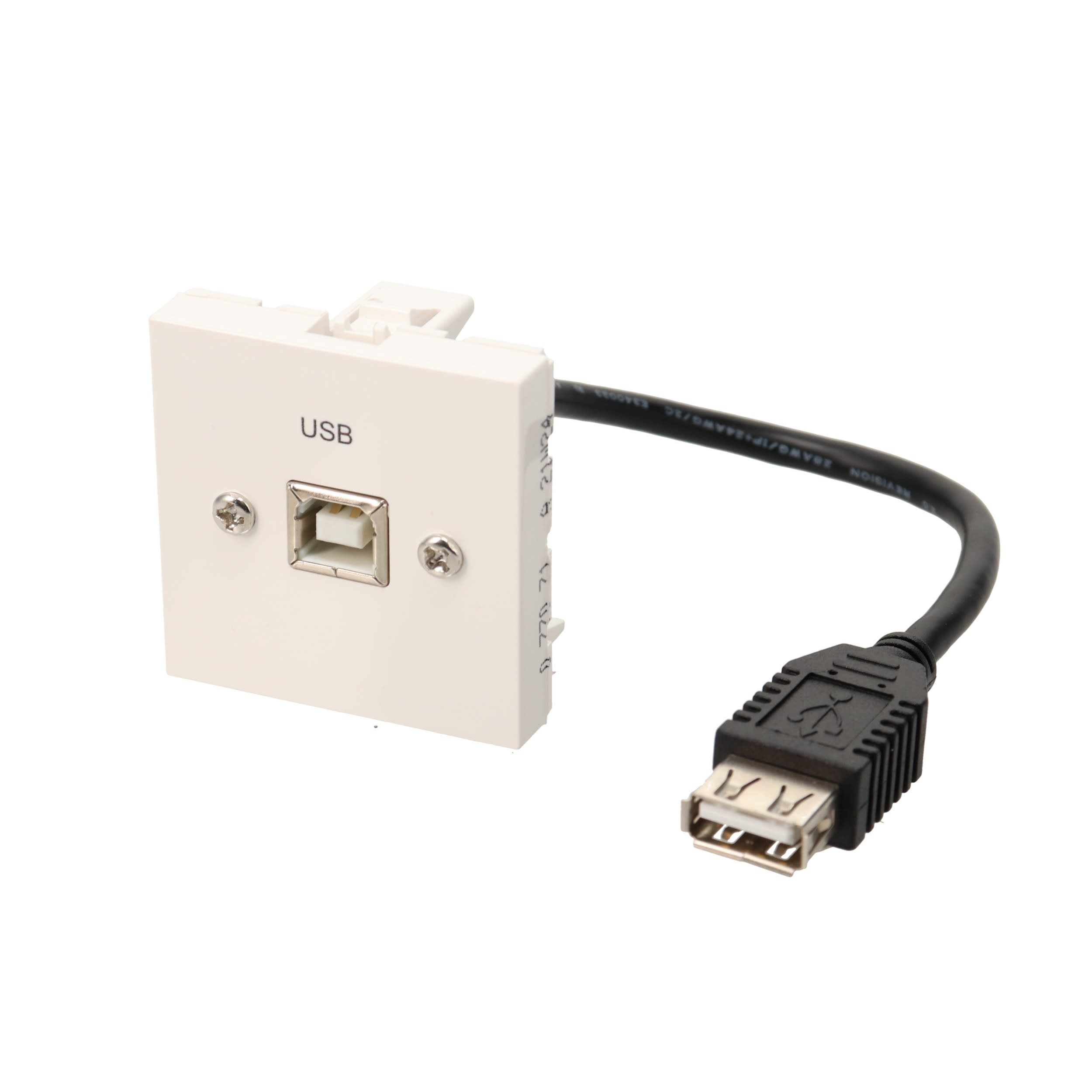Erard - Plastron câblé 2 modules USB B / USB A + raccord F - obturateur LEGRAND- 0m20