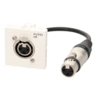 Erard - Plastron câblé 2 modules XLR 3b + raccord F - obturateur LEGRAND - 0m20
