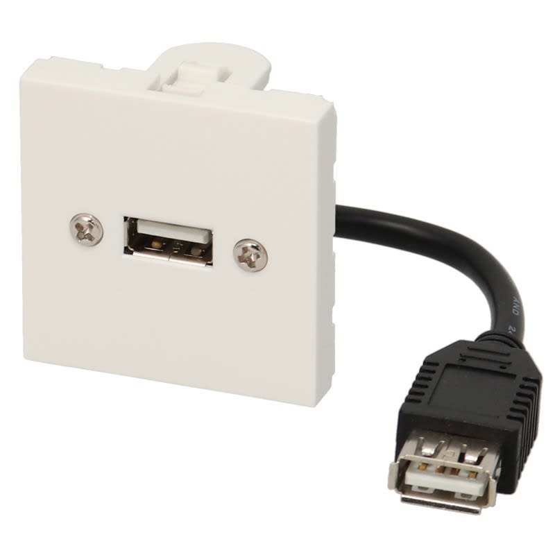 Erard - Plastron - 0m10 - câblé 2 modules - USB-A 2.0 + raccord F -  480 mbps - 45x45 mm