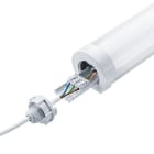Thorn - Luminaire LED anti-humidite IP66 - LUCY 1500 LED IP66 6000 840 TW