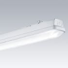 Thorn - Luminaire étanche LED - AQUAFORCE - AQFPRO L LED8000-840 PC MB HFI