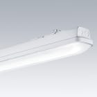 Thorn - Luminaire étanche LED - AQUAFORCE - AQFPRO L LED4300-840 PM WB HF