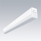 Thorn - Luminaire LED apparent ou suspendu - EQUALINE MINI L580 LED2100-840 HFX