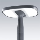 Thorn - Luminaire urbain à LED porté - FLEXITY - FLEX 24L25-740 OP CL2 W5 T60 ANT