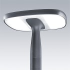 Thorn - Luminaire urbain à LED porté - FLEXITY - FLEX 24L25-730 OP CL2 W5 T60 ANT