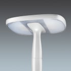 Thorn - Luminaire urbain à LED porté - FLEXITY - FLEX 24L25-730 OP CL2 W5 T60 GY