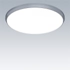 Thorn - Applique murale/plafonnier LED - NOVALINE - NOVS L 5000-840 DI HFI SR