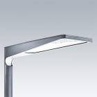 Thorn - Lanterne d?éclairage routier à LED - UA 60L50-740 NR CL1 T60E ANT