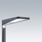 Thorn - Lanterne LED éclairage routier - URBA S 24L70 NR ANT BP CL2 8M MTP60 L730