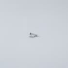 Thorn - Cache en tôle - SLOT - SLOIN slim MC-COV mask plate L9 SRE