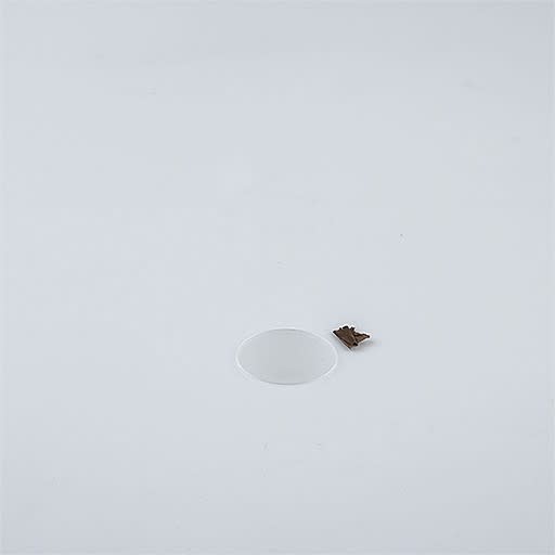 Thorn - Lentille diffusante - VIVO - VIVO XS LED STREUSCHEIBE WEICHZEICHNER