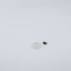 Thorn - Lentille diffusante - VIVO - VIVO XS LED STREUSCHEIBE WEICHZEICHNER