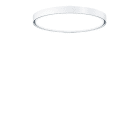 Thorn - Applique et plafonnier ronds décoratifs - LANOS M 3500-940 LRO HL LDE WH