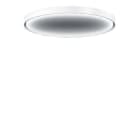 Thorn - Applique et plafonnier ronds décoratifs - LANOS L 4000-940 OP HL LDE/EVG WH