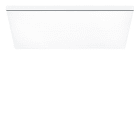 Thorn - Luminaire apparent - LF3 A 5000-ZTW Q LDE WH