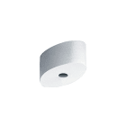 Thorn - Cache-piton - LINARIA - LINARIA CEILING ROSE SR