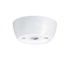 Thorn - Capteur infrar.-mvt-lumière passif - LITECOM - ED-SENS mini CM