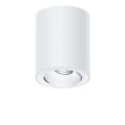 Thorn - Plafonnier encastré à LED - MICROS2 SC100 1100-930HE SWI FL-DWH WH->