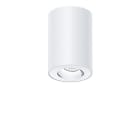 Thorn - Plafonnier à LED apparent - MICROS2 SC68 900-930HE SWI FL-DWH WH WH