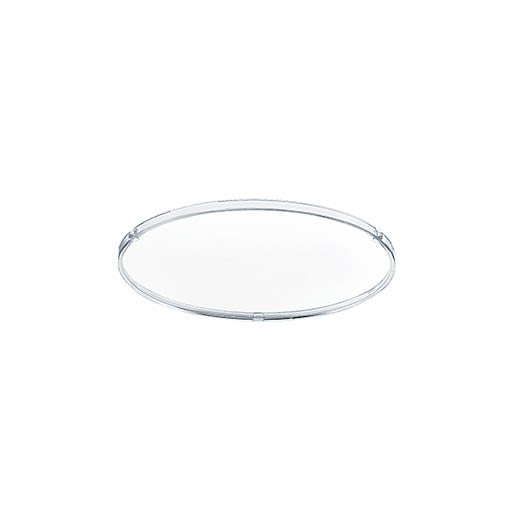 Thorn - Verre de protection transparent (R100) - MICROS2 R100 IP44 COVER