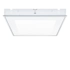 Thorn - Plafonnier encastré à LED - MIRO NIV LED3800-840 M600Q LDO KA