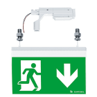 Thorn - Luminaire de sécurité à pictogramme - PURESIGN/COMSIGN 150 P MRCR-WF15 ELP SR