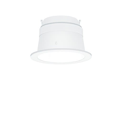 Thorn - Réflecteur - PANOS INF/EVO R100H REFL WH WH