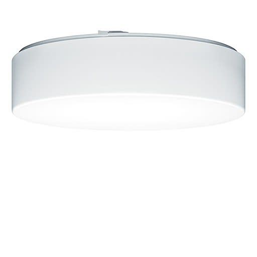 Thorn - Accessoire - PERLUCE - PERLUCE ABD O D450