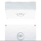 Thorn - Luminaire de sécurité - RESCLITE PRO - RESCLITE PRO MSC ANT HP E1D WH IP65 BAES