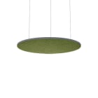 Thorn - Accessoires acoustiques - AA SLOIN R D1200/1075/25 MSP AZF MGF