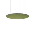 Thorn - Accessoires acoustiques - AA SLOIN R D1200/1075/25 MSP AZF OLF
