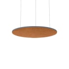 Thorn - Accessoires acoustiques - AA SLOIN R D1200/1075/25 MSP AZF ORF