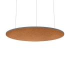 Thorn - Accessoires acoustiques - AA SLOIN R D1500/1375/25 MSP AZF ORF