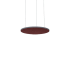 Thorn - Accessoires acoustiques - AA SLOIN R D800/675/25 MSP AZF BRF