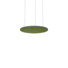 Thorn - Accessoires acoustiques - AA SLOIN R D800/675/25 MSP AZF MGF