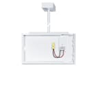 Thorn - Luminaire de sécurité à pictogramme - SMARTSIGN 190 ROD SD1 WH